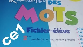 PG 64 reconnaître les mots de la même famille archipel des mots fichier élève CE1