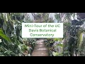 Mini-Tour of the UC Davis Botanical Conservatory: Succulents and Carnivorous Plants