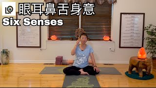 您的「眼耳鼻舌身意」合作無間了嗎？｜Six Senses