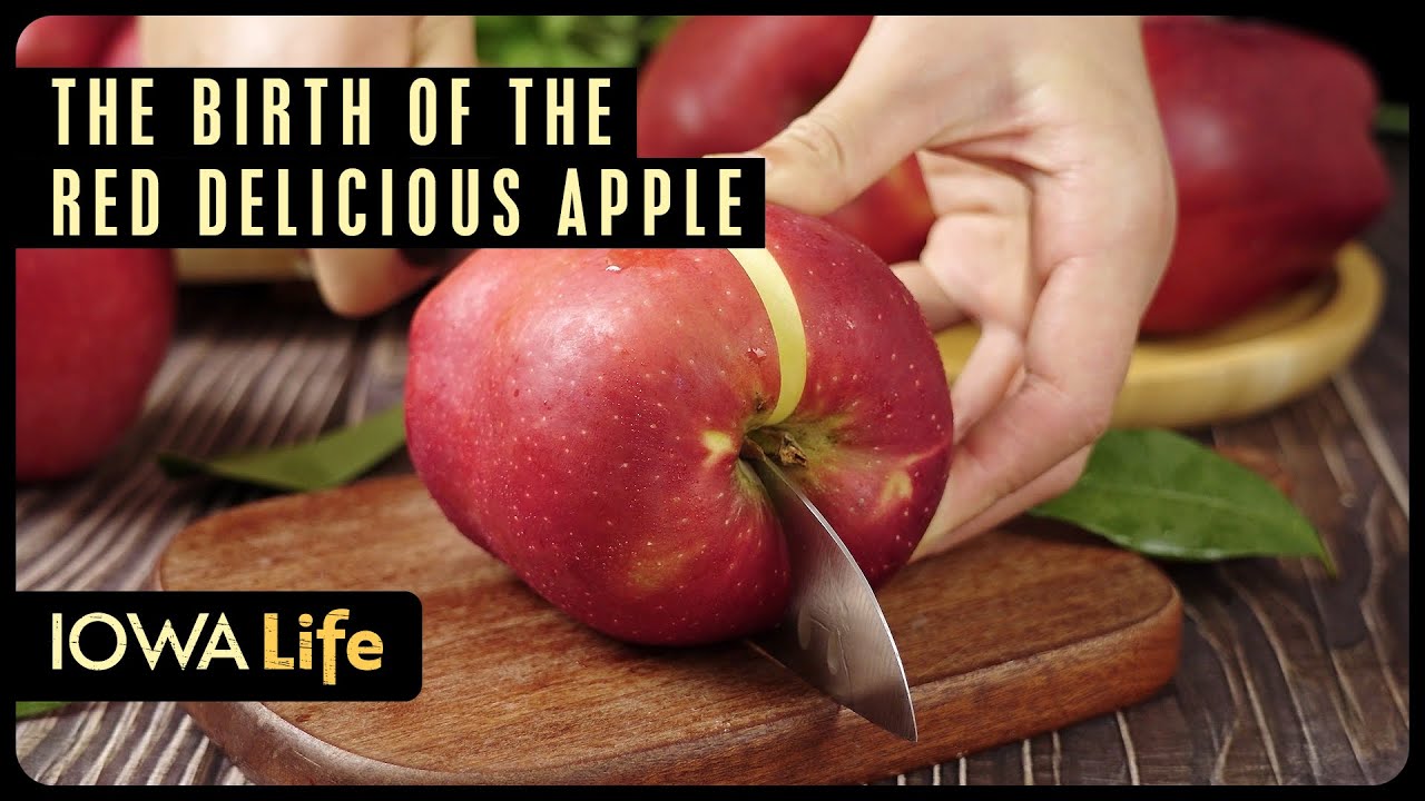 The Birth Of The Red Delicious Apple Iowa Life Youtube