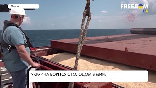 Посев, сбор и экспорт: как Украина спасает свое зерно в условиях войны