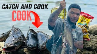 Blue Catfish Catch and Cook!!! (Bank Fishing)