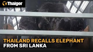 Thailand News | Thai elephant Sak Surin safely repatriated after 22 years in Sri Lanka