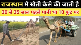 राजस्थान मे खेती कैसे की जाती है | rajasthan me kheti kaise hoti hai | rajasthan ki krishi | kheti