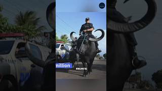 Brazilian Police Utilize Buffaloes in Operations 😲| #shorts @C-Facts03