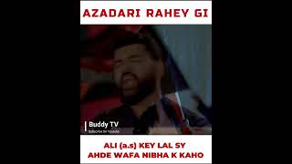 Azadari Rahey Gi | Mesum Abbas Noha 2022 | Muharram Whatsapp Status 2022 | New Nohay  | Buddy TV