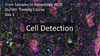 Mastering Cell Detection in QuPath: From Standard Methods to Deep Learning