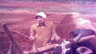 MGR vivasayam songs whatsapp status video 2021