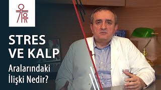 Stres ve kalp hastalığı ilişkisi nedir?