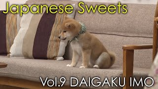 【柴犬、子犬、豆助】Mamesuke -Shiba Inu \u0026 Japanese Sweets- / Vol.9 DAIGAKU IMO