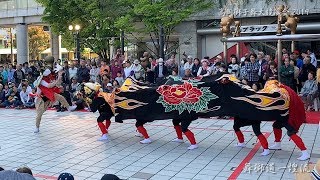 舞獅道一煌流 高岡獅子舞大競演会 2019