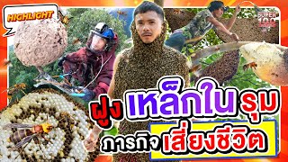 รอดมาได้ยังไง โดนฝูงผึ้งนับแสนรุม !! ลุยภารกิจสุดเสี่ยงที่ต้องไม่มีคำว่าพลาด HIGHLIGHT | SUPER100