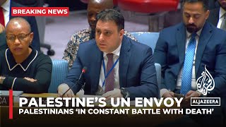 Palestinians should no longer have to die & suffer to remain on their land: Palestine's UN envoy