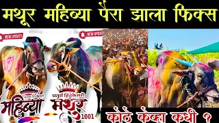 मथूर 1001 \u0026 महिब्या पैरा झाला फिक्स 💯 | नविन Update..!