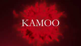 KAMOO - INTRO 2019