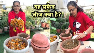 Organic 100% जादुई मिट्टी | घर में पड़े पुराने Flower से बनाएं, पौधे कभी नहीं मरेंगे! ज्यादा फूल-फल