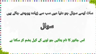 سات ایسے سوال جو دنیا میں سب سے زیادہ پوچھے جاتے ہیں#سوال #sami #1000subscriber