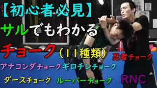 サルでもわかる11種類のチョーク（絞め技）の説明  初心者🔰白帯さんは見ないと後悔するかも(笑)  BJJ チョーク