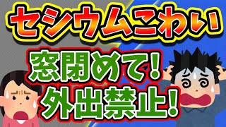 【2ch修羅場スレ】前編・セシウムが恐いと言ったら嫁が出ていった…