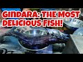 BALANGA PUBLIC MARKET | They sell the most delicious fish Gindara!