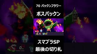 【最後の切り札】パックンフラワー(ボスパックン)【スマブラSP】