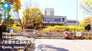 ⁴ᴷ Kyoto: Site of Kyoto City University of Arts (京都府: 京都市立芸術大学跡地) - Japan Walking Tour (April, 2024)