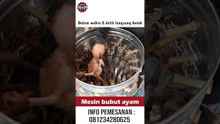 Mesin pencabut bulu ayam hasil bersih dan maksimal