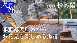 【はなれ松島閣｜会津】庄助の宿 瀧の湯が持つスイートルームに愛犬と宿泊し露天風呂からお花見を満喫する