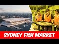 A New Era for Sydney Fish Market Begins