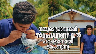 ഇനി ചെറിയ കളികൾ ഇല്ല💪 വലിയ കളികൾ മാത്രം 😁 Highflyer pigeon videos