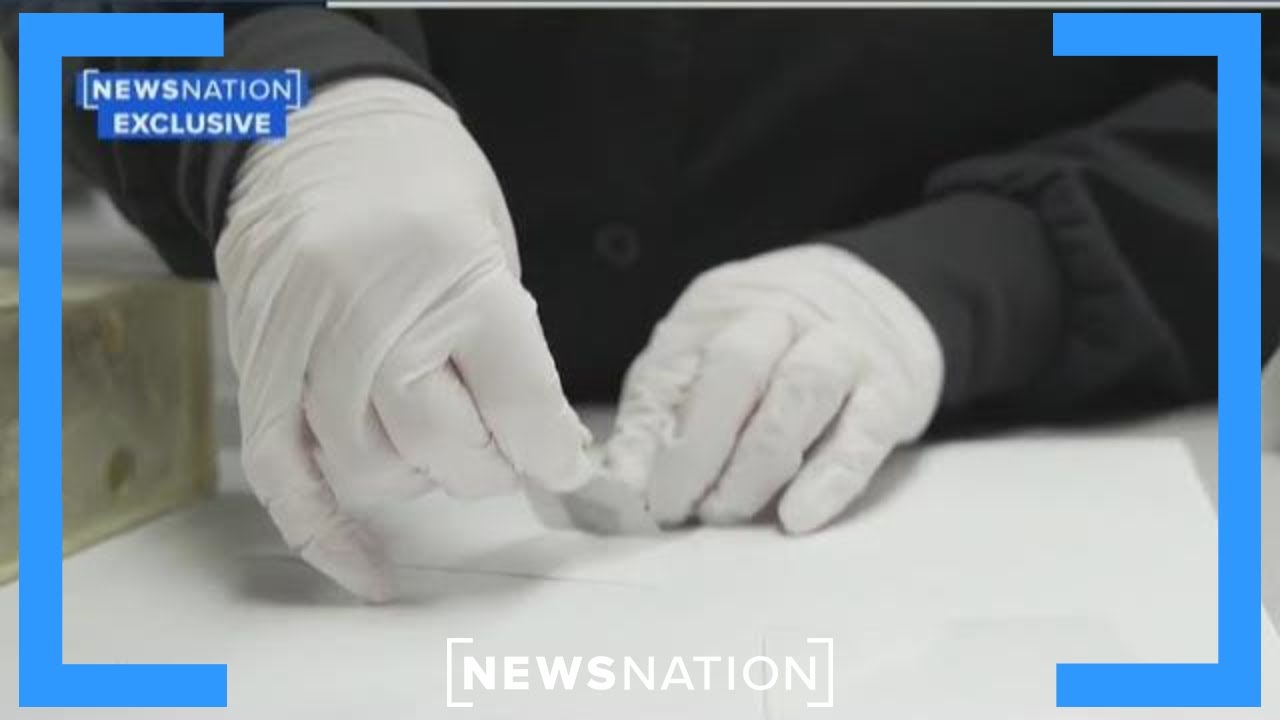 Idaho victims' hands reportedly bagged to preserve evidence | Banfield