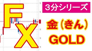 【FX初心者入門】3分でわかるFXと金（Gold）