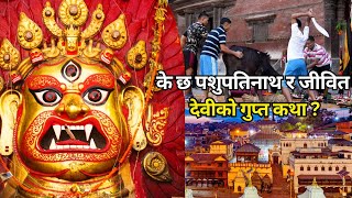 पशुपतिनाथ र जीवित देवीको रहस्यमय कथा – एक अद्भुत धार्मिक रहस्य