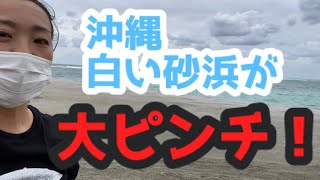 【軽石】沖縄の砂浜が大ピンチ、こんなに積もる⁈【海底火山】大宜味村根路銘