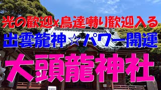 【辰年龍神神社13】大頭龍神社☆出雲龍神☆光の歓迎x鳥さん達の囀り歓迎加わり、出雲龍神パワー開運☆菊川市☆実体感型・遠隔参拝☆【第60弾】