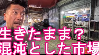 生きたまま？市場【中東】ヨルダンの首都アンマンの旧市街-夜の繁華街(ダウンタウン)の市場！ペトラ遺跡や死海などで有名なイスラエルの隣国Market,downtown,Amman,Jordan