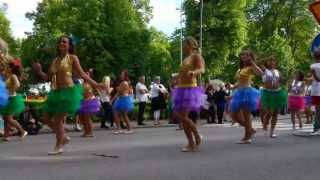 Karneval i Västervik 2013