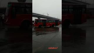 chennai MTC Bus at Koyambedu bus stand...🚍 #shorts #chennai #koyambedu #mtc