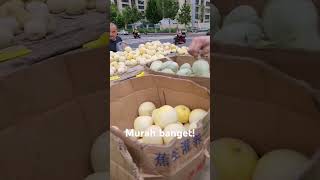 Murah nya kebangetan buah nya!!