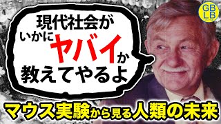 動物学者がマウス実験で人類滅亡の未来を予言する動画【楽園実験】