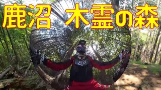 【CRF250R】鹿沼　木霊の森行ってみた【モトトレック】