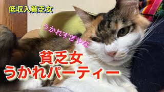 【猫と貧乏女】給料日と日本シリーズ、そしてハロウィン。うかれまくっています。パーティーパーティー♪