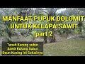 manfaat pupuk dolomit untuk kelapa sawit part 2