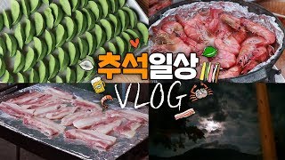 ENG) 시골일기VLOG 추석 풍경 가득가득! 송편 대량생산 새우 먹고 삼겹살 먹고 이제이레시피/EJ recipe