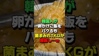 ㊗15万再生！卵かけご飯の魅力に気づいた韓国の料理人が母国でTKGを提供した結果とんでもない事態に