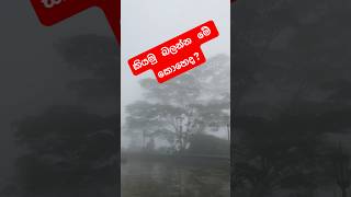 මේ දවස් වල එහෙ ලස්සනයි 🙏 #shortvideo #viralvideo #viralshorts #fyp #srilanka #sandagiriseya #viral