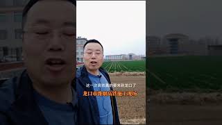 注意：如果你想到山东龙口买套海景房，那么这根柱子和你有关系！