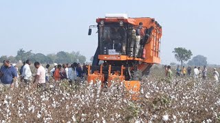 Cotton harvester machine | cotton farming | cotton harvesting technology | Shaktiman | India