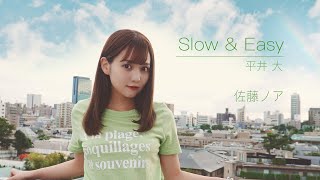 【歌ってみた】Slow & Easy / 平井大(Covered by佐藤ノア)【女性が歌う】