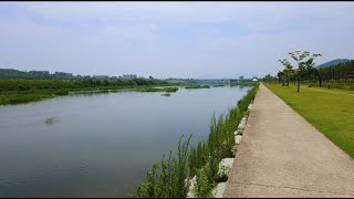 Taking a walk in a beautiful river that Koreans like.